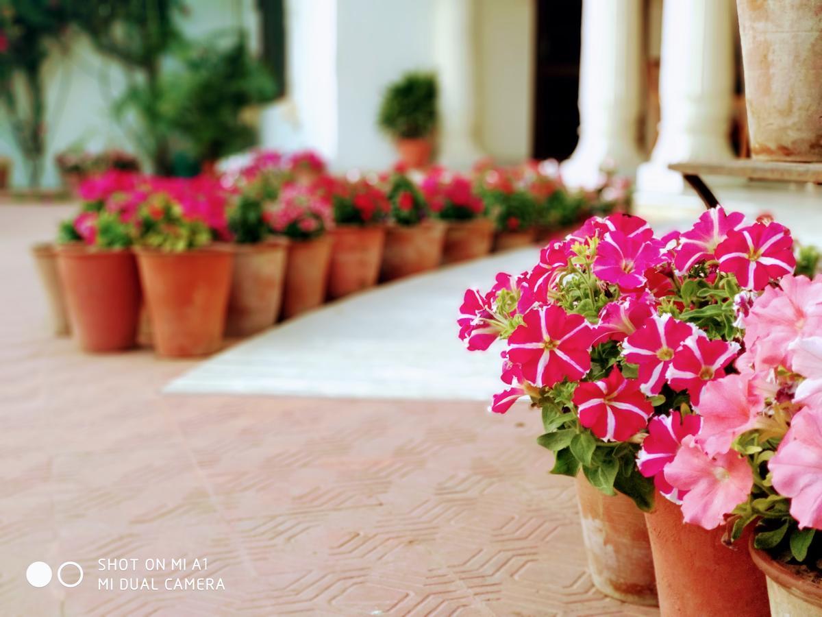 Hotel Meghniwas Jaipur Extérieur photo