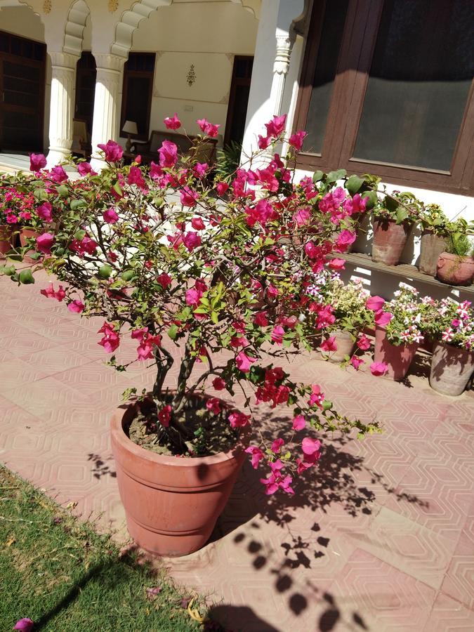 Hotel Meghniwas Jaipur Extérieur photo